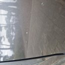 팔이팔이카센타 | 다이소 차량 컴파운드 사용후기, 가벼운 긁힘•기스 사용추천/웬만하면 광택제 같이 쓰길