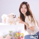 마리(MARI) 이미지