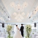 Like(라이크)호텔 | 창원 그랜드 머큐어 웨딩 가든 하우스홀 본식 스냅 - 라이크잇포토그라피 LIKE IT PHOTOGRAPHY