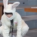 하니갤러리 이미지