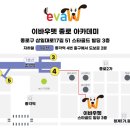 종로애견미용 이미지