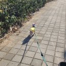 착한개조아 | 인천 부평구 부평동 애견호텔 착한개조아 비용 시간 위치
