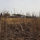 모현동-49 이미지