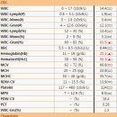 닥터펫동물의료센터 이미지