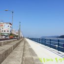 죽림해안로 이미지