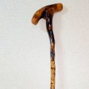 *감태나무 연수목 지팡이 이미지