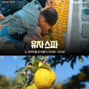 유자향기2