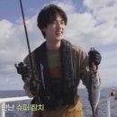 인기참치 이미지