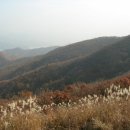 팔당댐 입구 ～ 배알미 대교 이미지