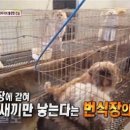 중사지농장 이미지