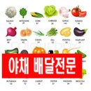 만물야채상회