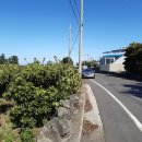 단방공인중개사사무소 이미지