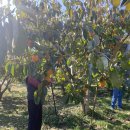 푸실농장 이미지