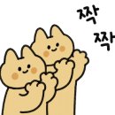 스윗나나 이미지