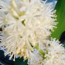 대랑농장 이미지