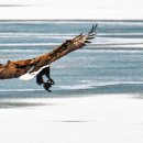 오리사냥 이미지