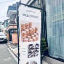멜로소빈 이미지