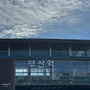 엄궁럭키아파트 15186 | 2025 부산락페스티벌 부락페 혼자 솔플 후기 / 준비물