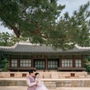 너무 만족스러웠던 서울 창경궁 한복 스냅 [제이앤와이스냅(JNY)] 촬영 후기, 과정부터 결과까지 갓-벽