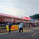 대진항(문어축제장) 이미지