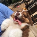 발편한동물병원 이미지