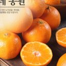 정화농원 네이버블로그