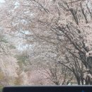 대복가든 이미지