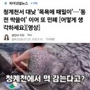 청계천서 대낮 '목욕에 때밀이'…'동전 싹쓸이' 이어 또 민폐 이미지