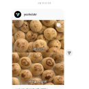 서진약국 | 내가 아직 세상을 좋아하는 데에는