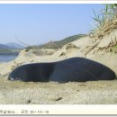 오석농장 이미지