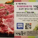 제주돈먹젠