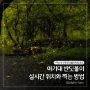 이기대큰고개약수터 | 부산 이기대 반딧불이 실시간, 위치, 주차, 촬영팁 총정리(+축제 교통통제)