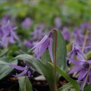 이화농장 이미지