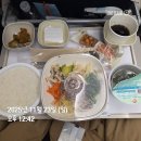 945 | 대한항공 기내식 후기 (KE945, 인천->프랑크푸르트, 기내식 시간 포함)