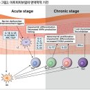 긁을수록 피부가 거칠고 두꺼워져요&#34; 아토피피부염의 영양관리 ＜1＞ 이미지