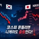 "코스피 흔들리면 일본도 흔들린다?" 한국 증시가 닛케이를 움직이는 이유 이미지
