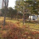 도두머리공원 이미지