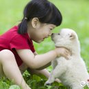 오수 펫 추모공원 이미지