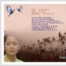 버들곡 Daum카페
