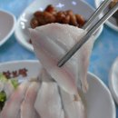 연백호 이미지