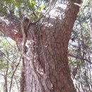 송담2로 이미지