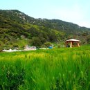 영산도명품마을 이미지