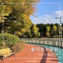 시민운동장~문경여중 가로수길 | 창원 피크닉명소 용지호수공원 (창원나들이/창원산책길/창원가볼만한곳/창원데이트코스)