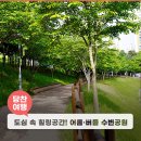 당진시 대덕1로2길 이미지