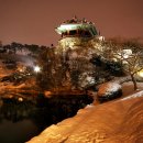 수원-1024 Daum카페