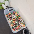 미미관마라탕(하양점) 이미지