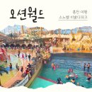 아쿠아펫랜드C121호 | 겨울 오션월드 소노벨 비발디파크 | 3인 가족여행 25만원 올인클루시브