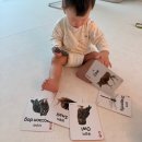 표현력 쑥쑥 그림책 놀이  A | 인지력 기억력 표현력을 쑥쑥 말쟁이 낱말카드 세이펜 호환 한글카드 영어카드