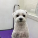 라미살롱 이미지