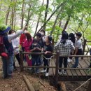 주생초등학교 이미지